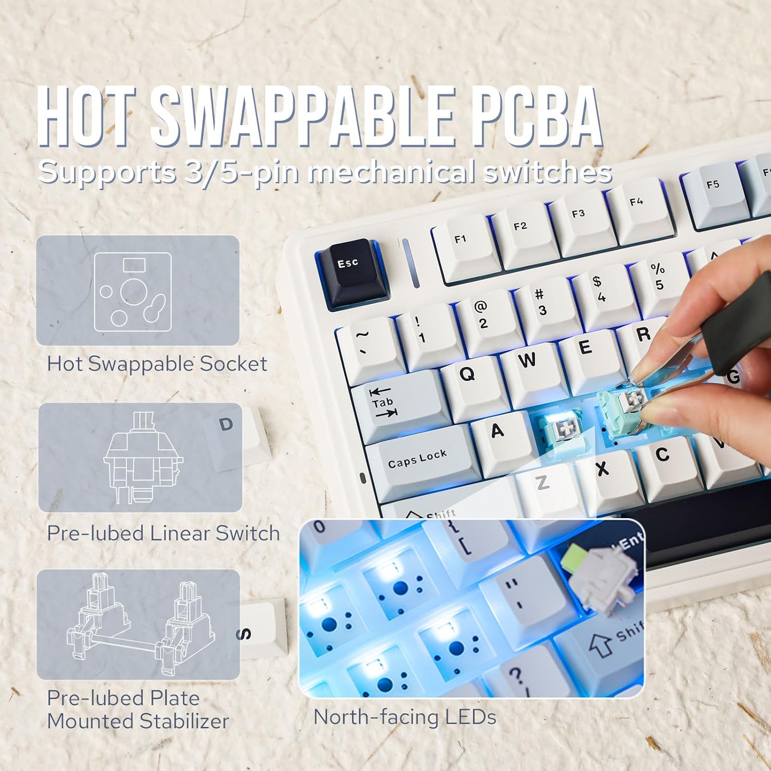 Aula F75 Mechanical Keyboard 7 - đánh giá và giá Gaming Keyboard Blue Switches