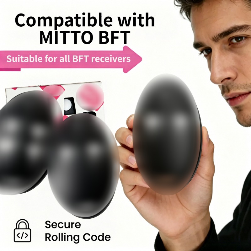Remote Control MITTO 2 4 KLEIO - đánh giá và giá Switch Opener Tool